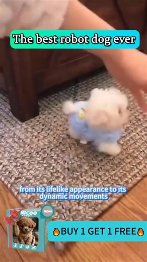 Want a puppy without the work? NICOO the Robot Puppy walks, wags, and loves attention—no walks or clean-ups needed! Cute, interactive, and totally hassle-free. | Dr. Evelyn Monroe