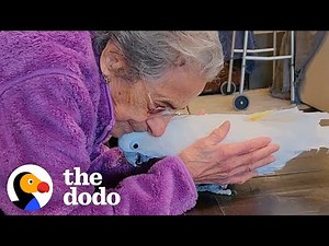 Cockatoo And 102-Year-Old Grandma Become Best Friends | The Dodo