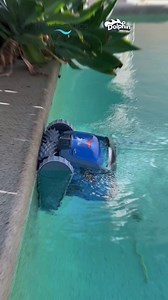 12 reactions · 3 comments | Call on the perfect Dolphin for your pool! ✨  Find your Dolphin today: maytronics.com.au/which-model #Maytronics #Dolphinpoolcleaner #poolcleaner #roboticpoolcleaner #pool #poolcare #poolmaintenance | Maytronics | Facebook
