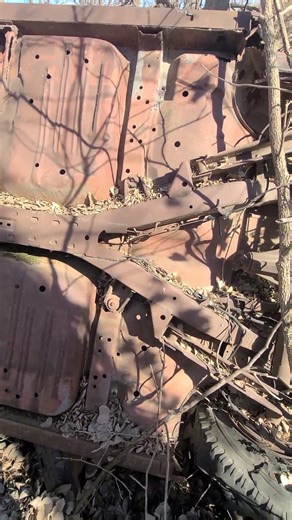 1959 Impala Upside Down in A Ravine!