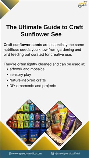 The Ultimate Guide to Craft Sunflower Seeds | Uses & Creative DIY Ideas