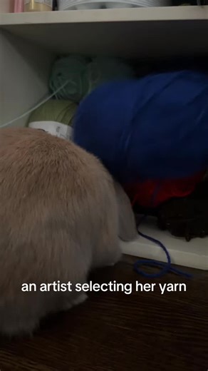 Artist Choosing Yarn for Cute Animal Creations