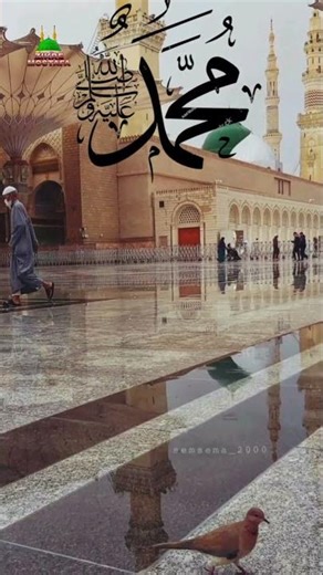 Ami Nabijir Pagol Ami Modinar Pagol ❤️❤️🧡🧡 Islamic Shorts Video #Madinah #ZikreMostafa