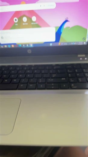WHAT HAPPENED TO MY HP PROBOOK???