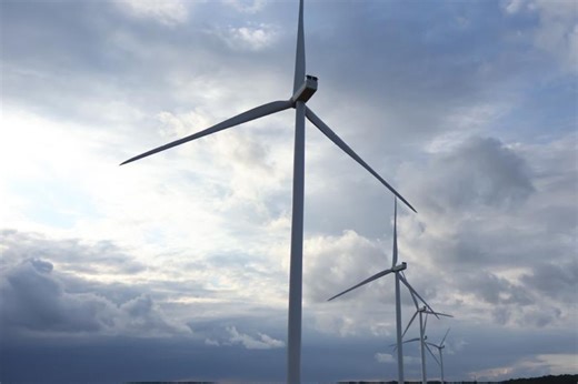 Aigle royal tué par une éolienne : la confirmation de l'arrêt du parc demandée pour un an