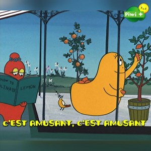 Souhaitons en chanson 🎶 une merveilleuse fête à tous les papas ❤ ▶BARBAPAPA, disponible à la demande sur myCANAL 👉 http://bit.ly/jeunesse_mycanal | CANAL Kids