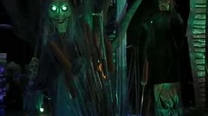 Spirit Swamp Tours In-Store Video