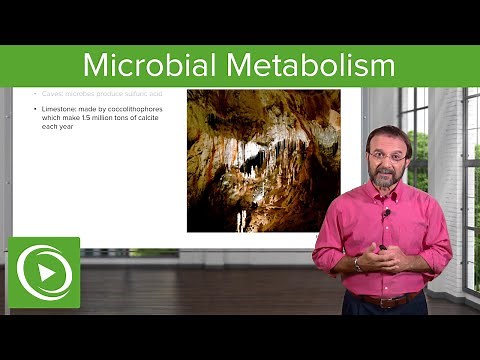 Metabolic Wizardry: Microbial Metabolism – Microbiology | Lecturio