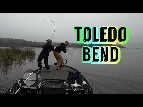 The Despino tire tournament on TOLEDO BEND