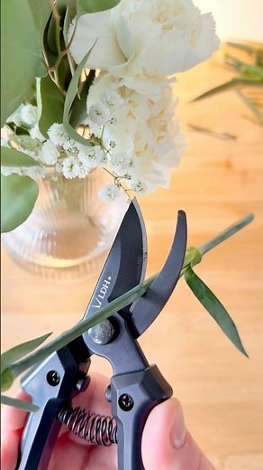 What is the Difference Between Scissors and Pruning Shears?