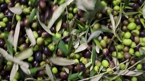 18 reactions | An international inter-lab study using the Thermo...