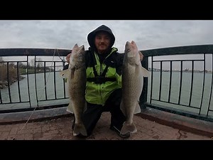 CATCHING BIG SHORE WALLEYE - Detroit river fishing