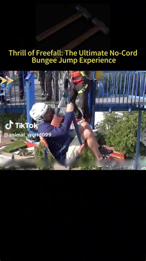 No Cord Bungee Jump: Soweto’s Tower Drop Experience