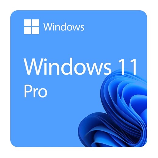 Windows 11 Pro – Installation and Activation Guide (PDF) - Etsy