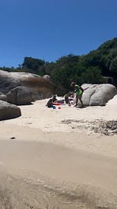 630K views · 808 reactions | Baboon Attack after Human Takes Away Bucket | Animals Around The Globe | Facebook