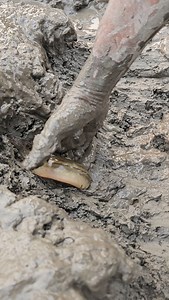 222K views · 1.4K reactions | Amazing fishing | Fish Hunter Life | Facebook