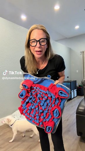 Understanding the Benefits of a Snuffle Mat for Dogs