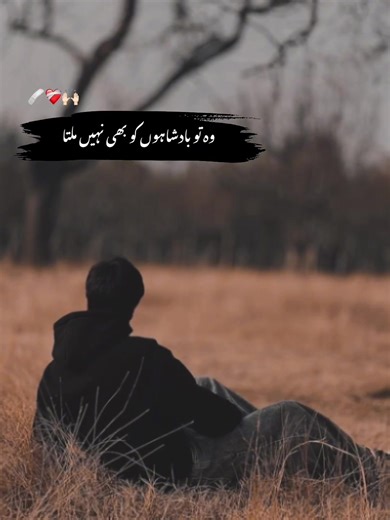 Discover CapCut Pioneer Templates and Tips