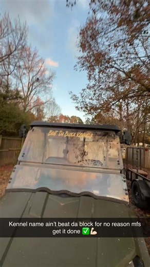 Fast Dogs in Action During Deer Season