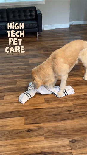 DIY enrichment idea for pups 🐾 Make your own snuffle ball at home! Grab two towels, sprinkle some treats inside, fold each towel longways, then cross them into an X and tie them together in a few knots. It turns into a fun little puzzle toy that keeps your dog’s brain busy 🧠 • • • • • #dogenrichment #snufflemat #diydogtoy #caninelife #petcaretips #vettechapproved #dogmomlife #buckscountypets #montcopets #hightechpetcare | High Tech Pet Care