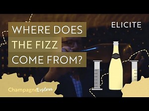 Why is Champagne Fizzy? The Basics of Winemaking In Champagne