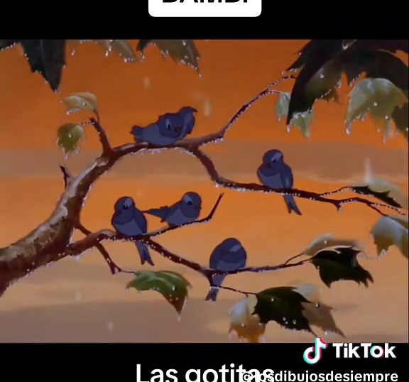 Canción