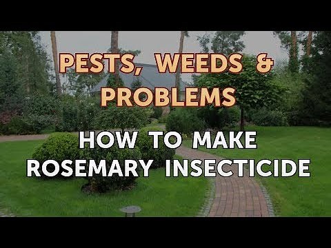 How to Make Rosemary Insecticide