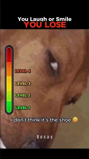 Don’t Laugh Or Smile Or You Lose Pt 64