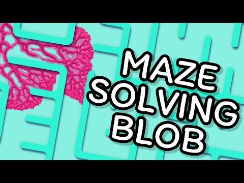 Spreading BLOB Tries To Solve Blue Maze