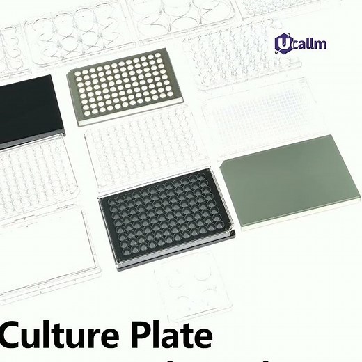 Multi Size Cell Culture Plate
