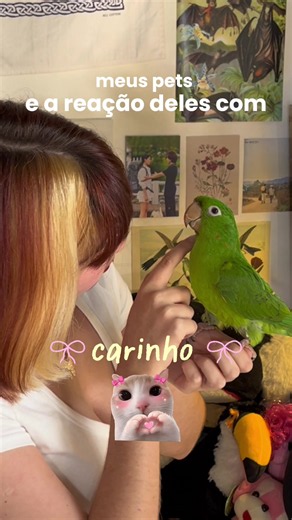 Meus filhos são muito fofos — vídeos de pets e animais legais
