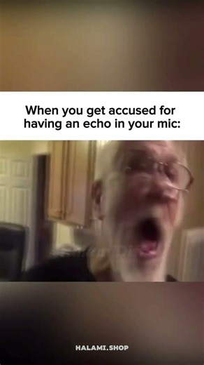 Echo in mic 🗣 [gaming memes]
