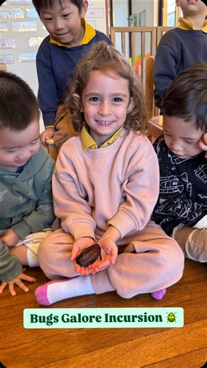 Woodgreen Early Learning Centre | We celebrated Insect Week with our exciting Bugs Galore incursion! The children explored the world of bugs through hands-on learning and... | Instagram