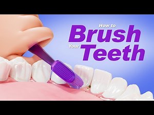 How to Brush Your Teeth.- Step by Step 3D Guide