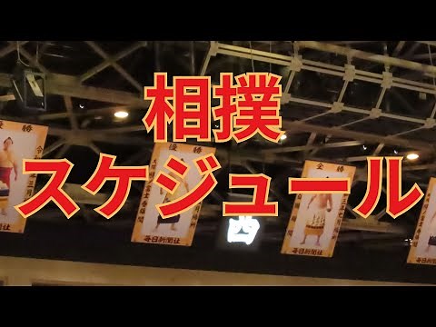 会議や番付発表は？相撲スケジュールを紹介 #相撲 #sumo