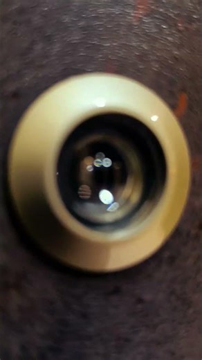 SWS 318 SEC DOOR #swisstradedoors #swisstradesecuritydoors