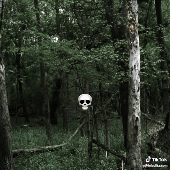 Chilling Wendigo Sounds and Their Haunting Effects