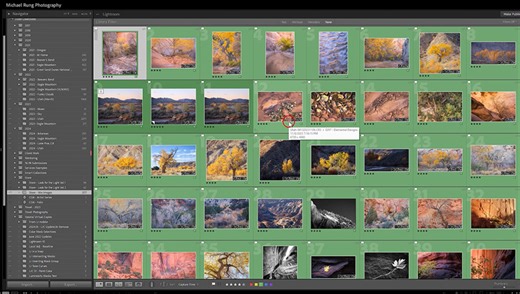 Efficient Photo Management Tips for Lightroom Classic