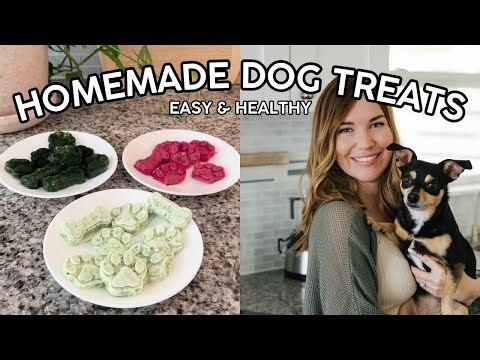 3 DIY Dog Treat Recipes 🐾 Vet-Approved