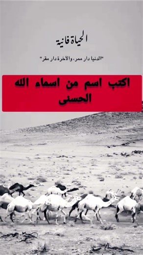 قران كريم #اكسبلور #القرآن #لايك #القرآن_الكريم #subscribe #shorts #short #quran #sleep #duet #فولو