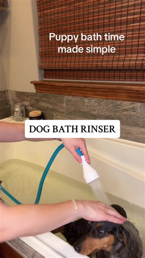Easy Dog Bath Rinsing: Simple Installation Tips