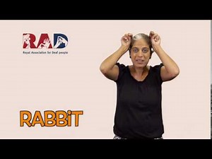 How to sign 'Rabbit' in British Sign Language (BSL)