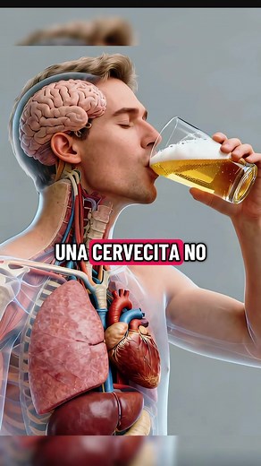 Efectos de una cerveza en tu cuerpo