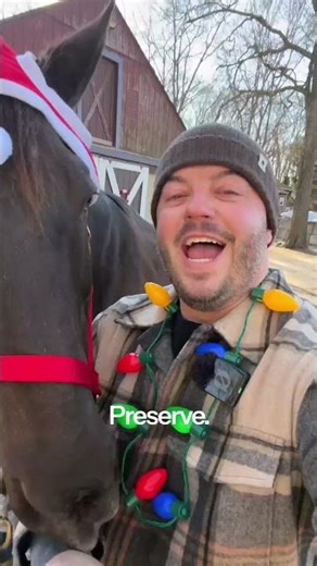 $25 Horseback Trail Rides On Long Island