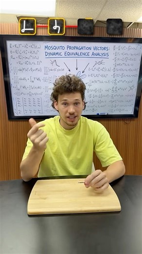 How To Make Mosquito Snapper!