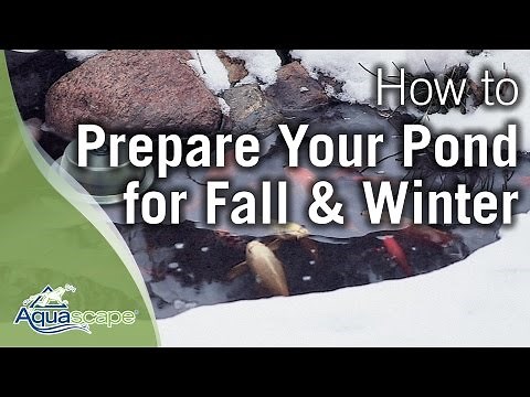 Aquascape's How To Winterize Your Pond