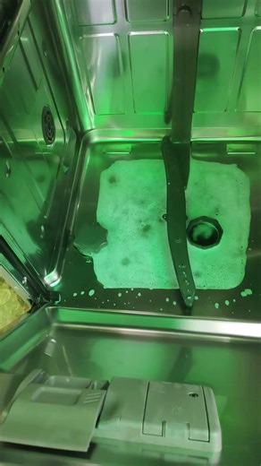 OE Error Code in LG Dishwasher