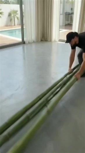 #creatorsearchinsights #blfact #capcut @B.L facts MM @B.L facts MM @B.L facts MM