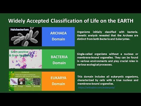 Biodiversity - Three Domains - Six Kingdoms - New Classification - BIOL100 and BIOL 101 Biomedglobal
