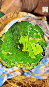 4.5M views · 9.1K reactions | 3 Theen Paan Ek Saath Maza Aagaya Man Bhar Jayega | Rangers cooking show | Facebook